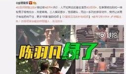 衡东二中爆料事件视频播放,真相与反思