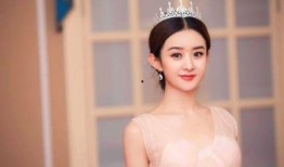 赵丽颖事件爆料视频,真相与争议的漩涡