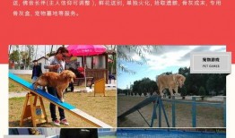 初犬在线观看仙桃,仙桃奇缘，探寻神秘仙桃之谜