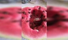 最新七夕吃瓜爆料,明星情侣幕后秘闻大揭秘