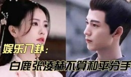 娱乐八卦最新爆料白鹿热,娱乐圈新晋女神白鹿，热度飙升背后的秘密