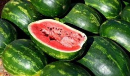 吃瓜网红图片大全高清版,全网热议！吃瓜网红高清美图大集合