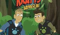 动物兄弟在线观看,在线观看动画盛宴