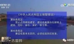 漳浦爆料新闻最新,突发事件引发关注，详情揭晓！