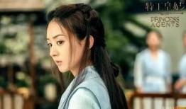 赵丽颖事件爆料视频,真相与争议的漩涡