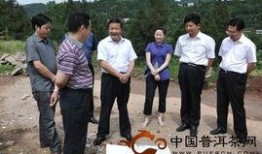 罗村爆料新闻最新,最新爆料揭示惊人真相