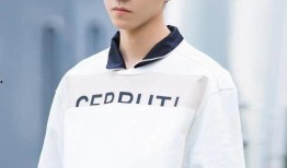 王俊凯录音爆料视频下载,揭秘娱乐圈幕后真相