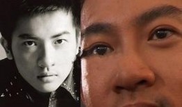 爆料男明星视频大全集下载,爆料男明星视频大全集下载全解析