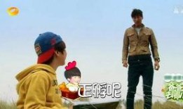 张天天爆料陈奕诺最新,娱乐圈风云再起！