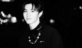 陈哲远私生活爆料视频大全,视频大全曝光惊人细节