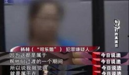 夜场套路爆料案例最新视频,最新视频案例深度剖析