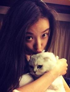 娱乐吃瓜君网红虐猫是谁